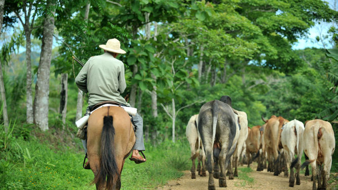 5 children contract equine encephalitis Newsroom Panama